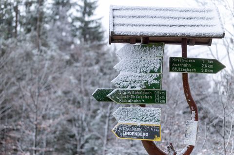 Frischer Schnee und Frost sorgen in Thüringen für winterliche Verhältnisse – besonders in höheren Lagen. (Archivbild) Foto: Mich