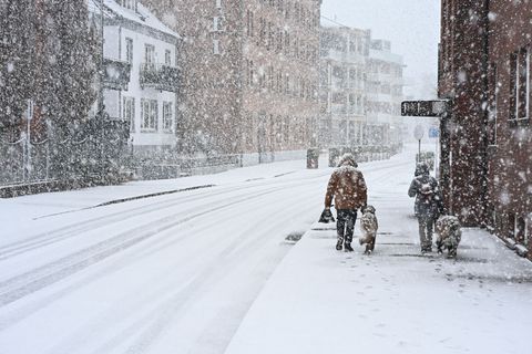 Der Wintereinbruch sorgte in Niedersachsen für glatte Straßen. Foto: Lars Penning/dpa