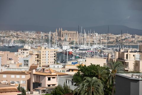 Die Prügelattacke ereignete sich in der Hauptstadt der Urlaubsinsel. (Archivfoto) Foto: Clara Margais/dpa