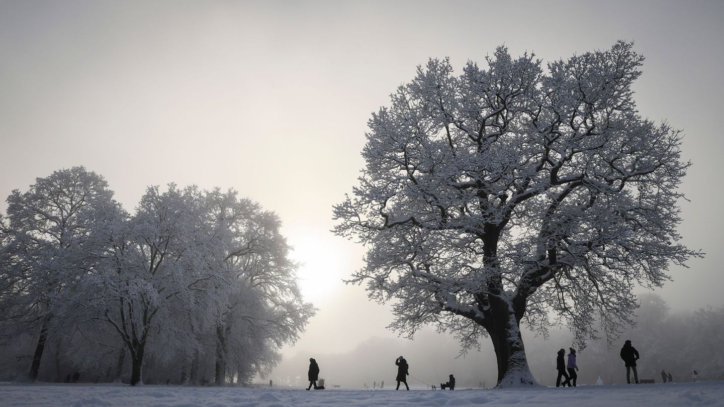 Schnee und Frost hielten Hamburg und Schleswig-Holstein am Wochenende fest im Griff. Foto: Christian Charisius/dpa