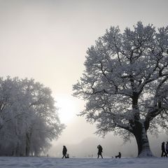 Schnee und Frost hielten Hamburg und Schleswig-Holstein am Wochenende fest im Griff. Foto: Christian Charisius/dpa