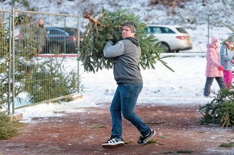 Beim Weihnachtsbaumwerfen in der Pfalz. Foto: Uwe Anspach/dpa
