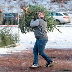 Beim Weihnachtsbaumwerfen in der Pfalz. Foto: Uwe Anspach/dpa