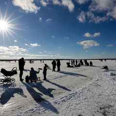 Bei strahlendem Sonnenschein und Temperaturen knapp unter dem Gefrierpunkt wurde der Federsee in Oberschwaben heute der Hauptanz