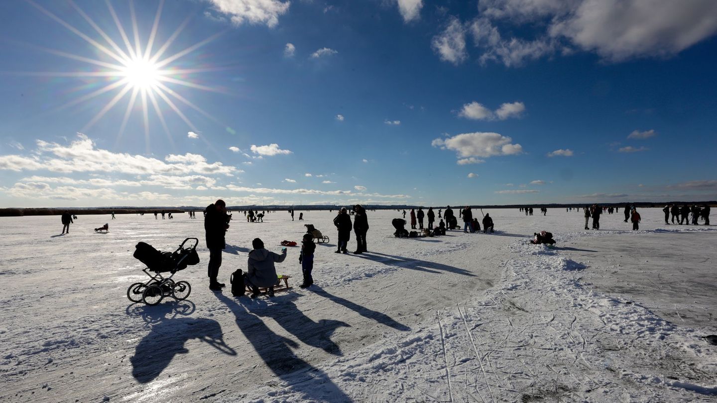 Bei strahlendem Sonnenschein und Temperaturen knapp unter dem Gefrierpunkt wurde der Federsee in Oberschwaben heute der Hauptanz