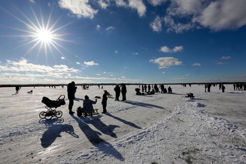Bei strahlendem Sonnenschein und Temperaturen knapp unter dem Gefrierpunkt wurde der Federsee in Oberschwaben heute der Hauptanz