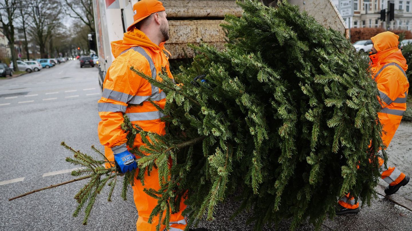 Ab Montag sammelt die Stadtreinigung Weihnachtsbäume ein. (Archivfoto) Foto: Christian Charisius/dpa