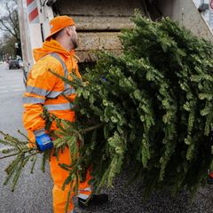 Ab Montag sammelt die Stadtreinigung Weihnachtsbäume ein. (Archivfoto) Foto: Christian Charisius/dpa