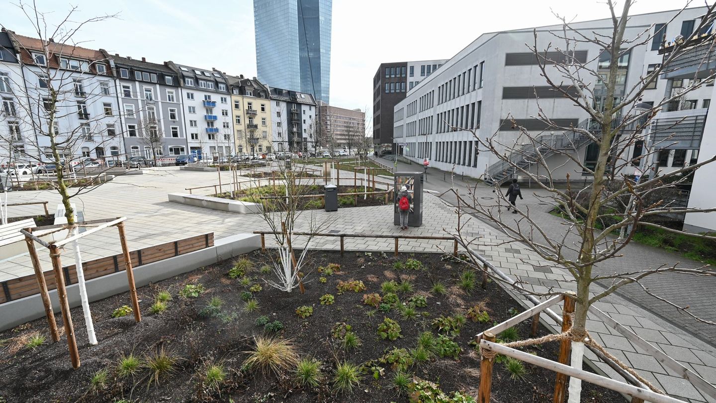 Städte investieren Milliarden Euro für das Klima. (Archivbild) Foto: Arne Dedert/dpa