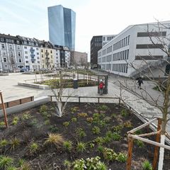Kommunen haben Maßnahmenpakete gegen den Klimawandel. (Archivbild) Foto: Arne Dedert/dpa