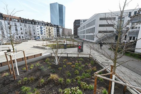 Kommunen haben Maßnahmenpakete gegen den Klimawandel. (Archivbild) Foto: Arne Dedert/dpa