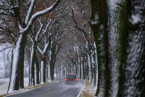 Den Tag über bleibt es laut Deutschem Wetterdienst eher trocken. (Archivbild) Foto: Patrick Pleul/dpa