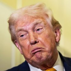 Anfangs kritisierte US-Präsident Donald Trump den angeblichen ukrainischen Angriff auf eine Residenz von Wladimir Putin noch