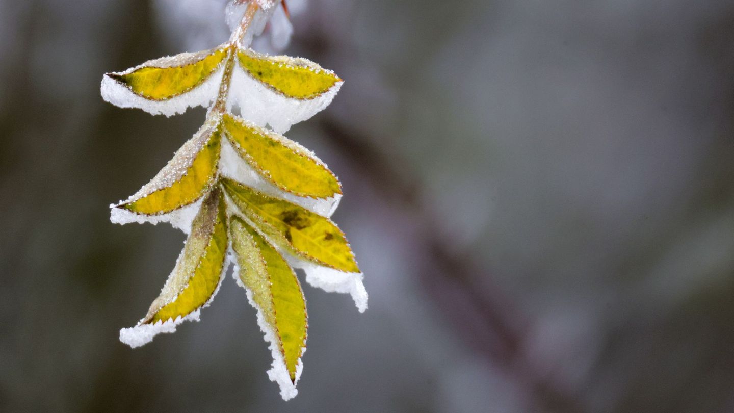 Wetterbericht-K-lteste-Nacht-des-Winters-S-dwesten-bibbert-bei-Tiefstwert
