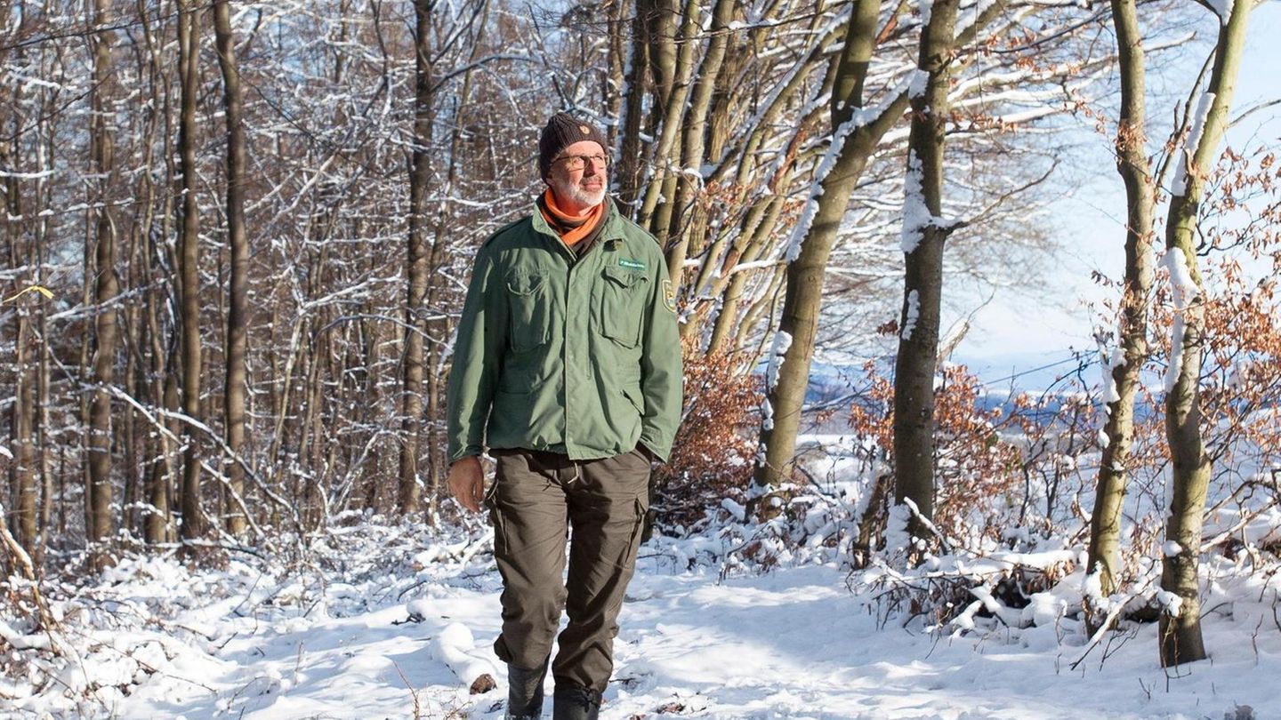 Naturerlebnis: Spaziergang mit Peter Wohlleben: Was wir im Winterwald entdecken können