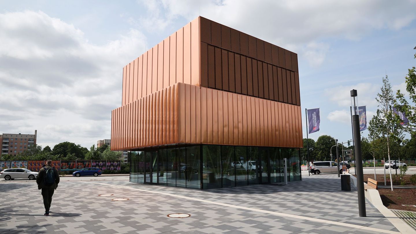 Die Hamburger Energienetze sind 2024 aus dem Zusammenschluss der Stromnetz Hamburg GmbH und der Gasnetz Hamburg GmbH entstanden.