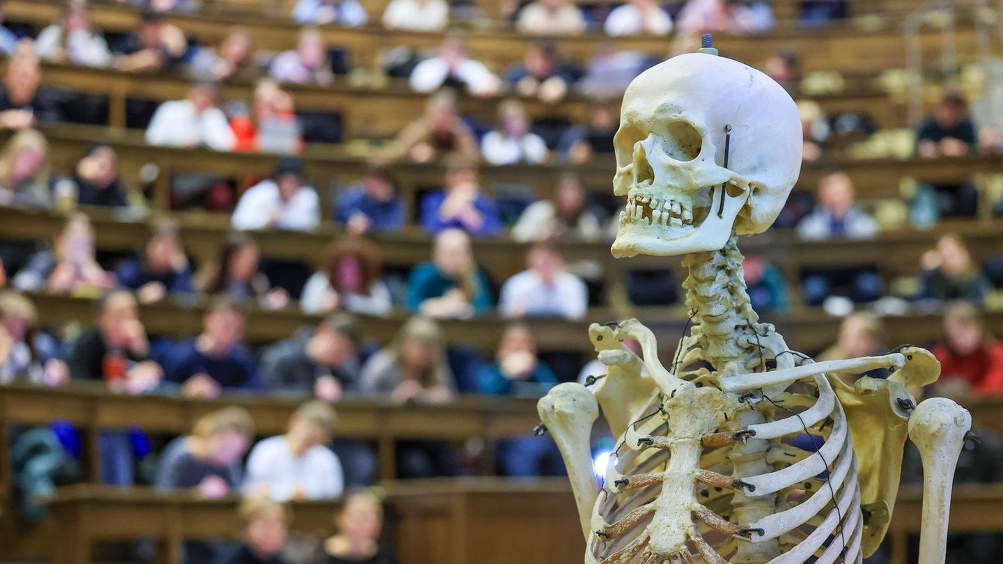 Hochschule: Medizinstudium in Ungarn – Bewerbung für 40 Plätze läuft