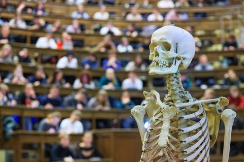 Ein Modellprojekt ermöglicht Studierenden einen geförderten Medizinstudienplatz in Ungarn. (Symbolbild) Foto: Jan Woitas/dpa