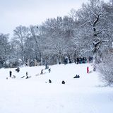 Rodelnde Kinder und Erwachsene im verschneiten Park