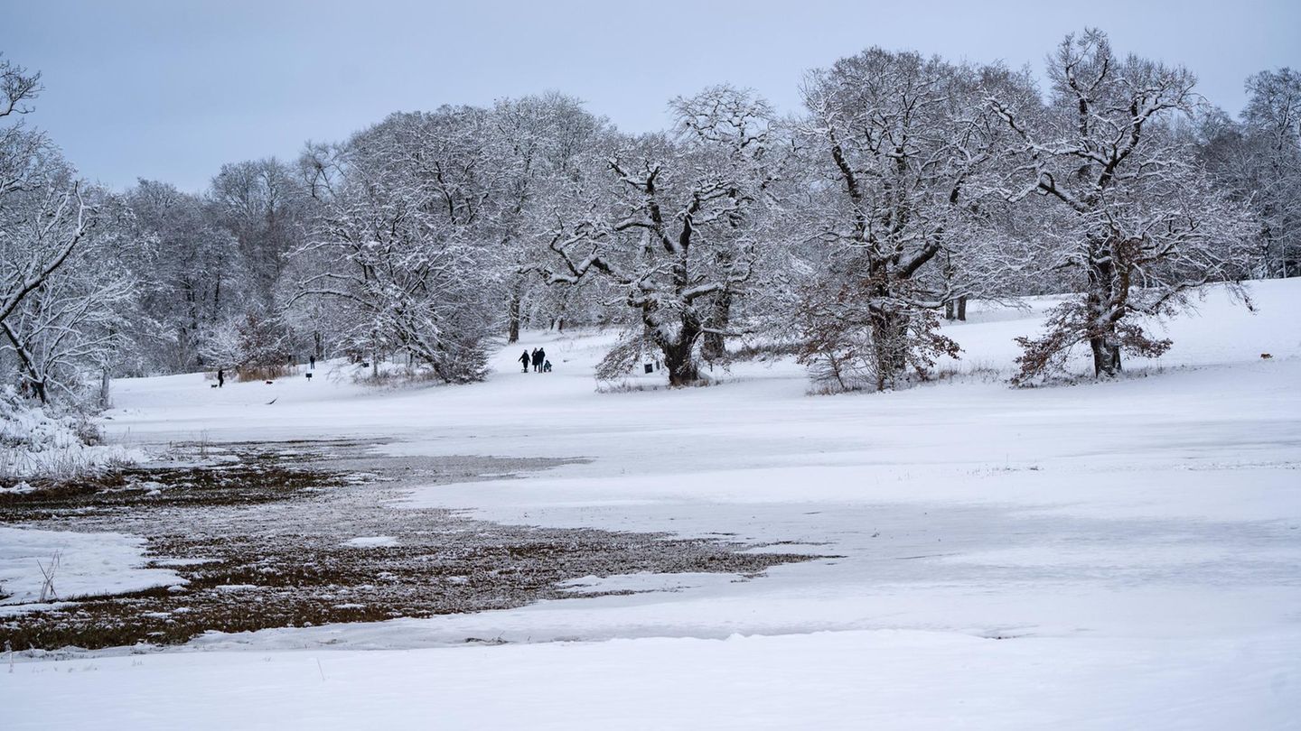 Verschneiter Hamburger Jenischpark