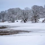Verschneiter Hamburger Jenischpark