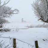 Verschneite Landschaft im Nebel