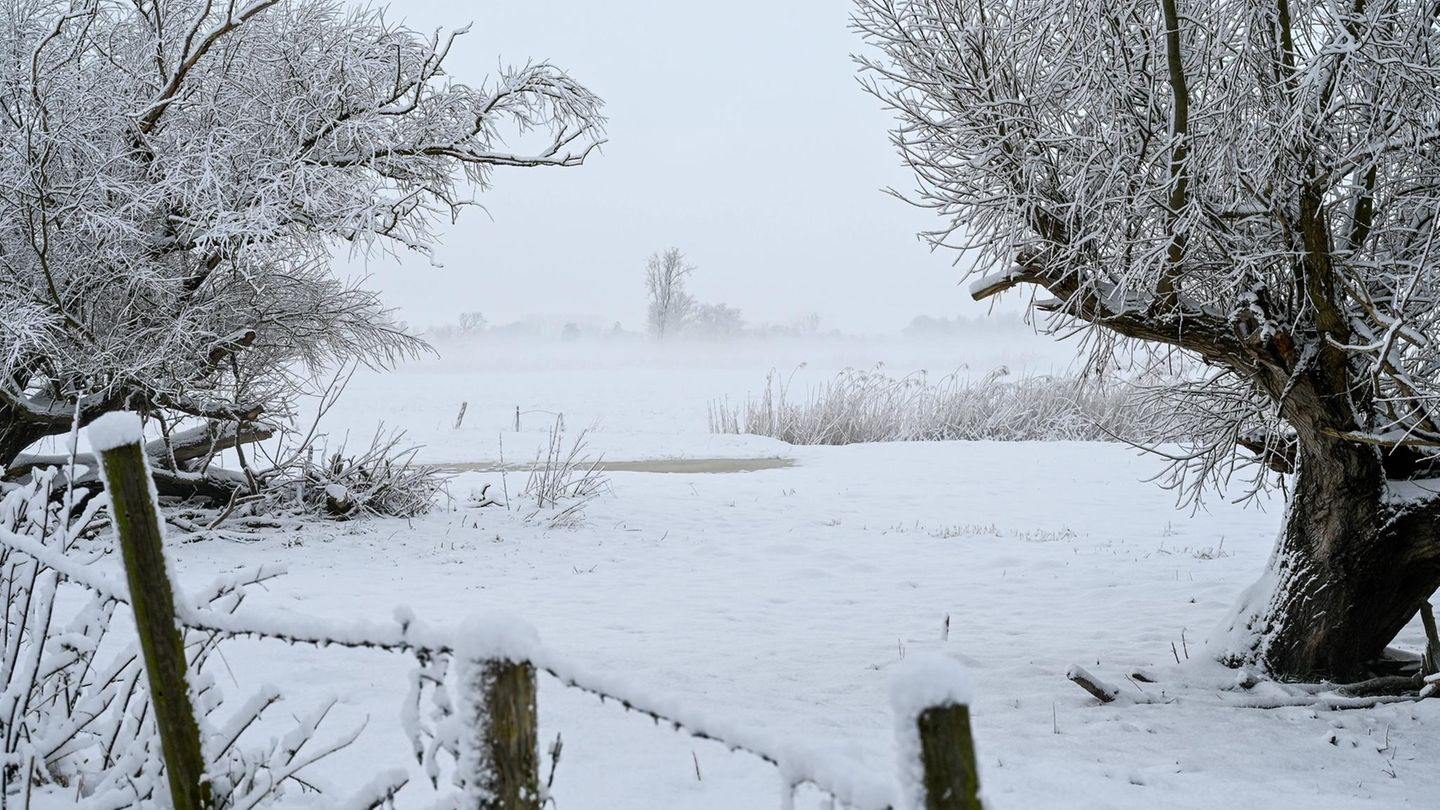 Verschneite Landschaft im Nebel