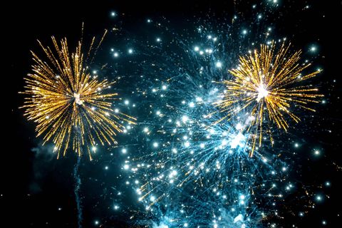 Rund um den Jahreswechsel leiden viele Haustiere durch Knallgeräusche und Lichteffekte vom Silvesterfeuerwerk. (Symbolfoto) Foto