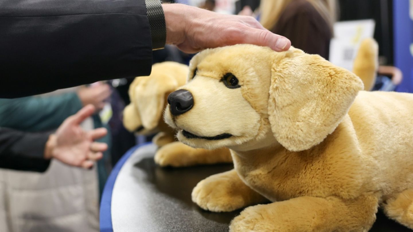 Im Vorfeld der CES vorgestellter Roboterhund