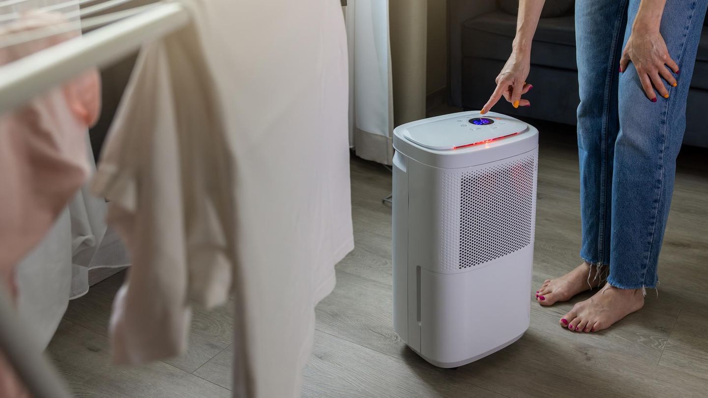 Luftentfeuchter zum Toppreis