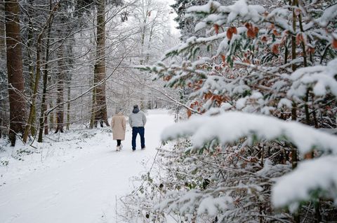 Bei Nebel, Schnee und Eis sinken die Temperaturen in Baden-Württemberg weit unter null Grad. Foto: Uwe Anspach/dpa
