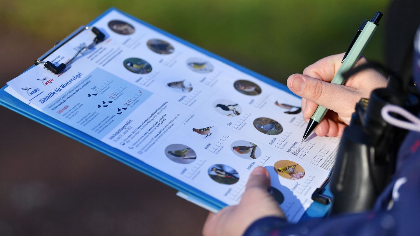 Am kommenden Wochenende können im eigenen Garten wieder Vögel gezählt werden. (Archivbild) Foto: Martin Schutt/dpa-Zentralbild/d