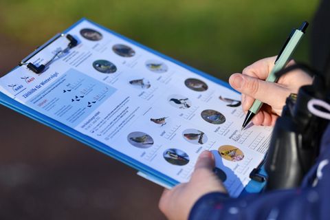 Am kommenden Wochenende können im eigenen Garten wieder Vögel gezählt werden. (Archivbild) Foto: Martin Schutt/dpa-Zentralbild/d