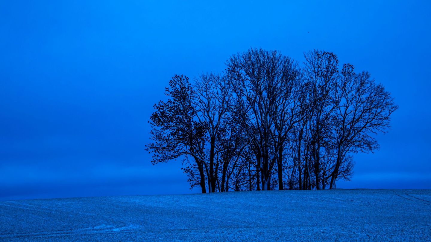 Winter in MV bringt frostige Temperaturen und Schnee. Foto: Jens Büttner/dpa