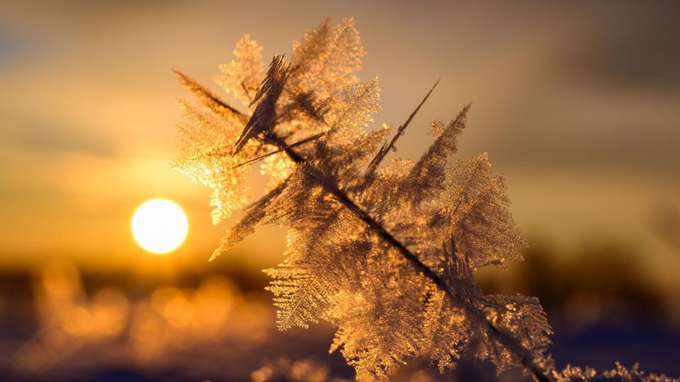 Wetterkarte zeigt eisige Temperaturen