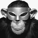 Monkey with Mask