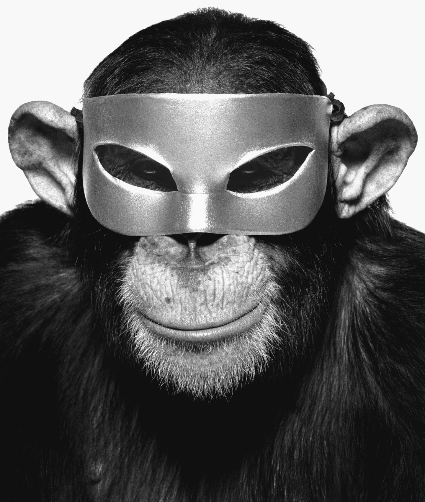 Monkey with Mask