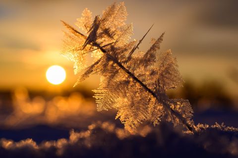 Die Polizei warnt davor, sich von der Winteridylle trügen zu lassen. Foto: Patrick Pleul/dpa