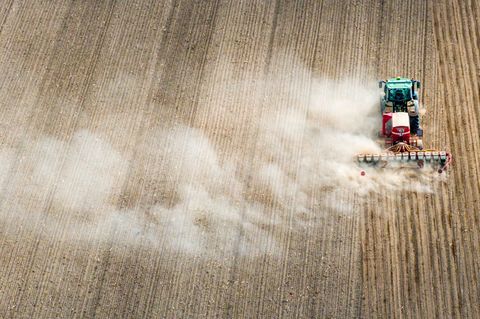 Das Schweriner Agrar- und Umweltministerium hat einen neuen Staatssekretär. (Symbolbild) Foto: Jens Büttner/dpa