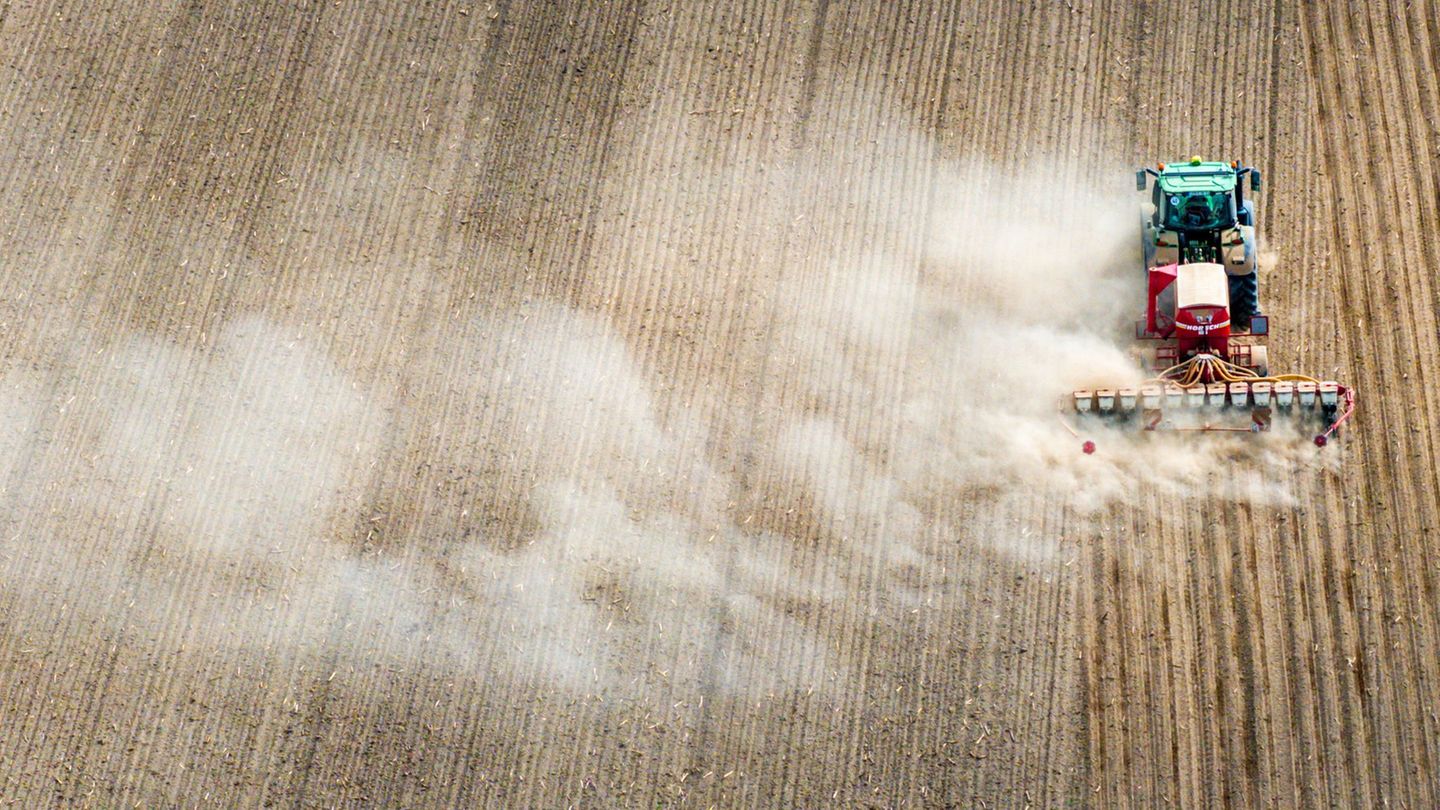 Das Schweriner Agrar- und Umweltministerium hat einen neuen Staatssekretär. (Symbolbild) Foto: Jens Büttner/dpa