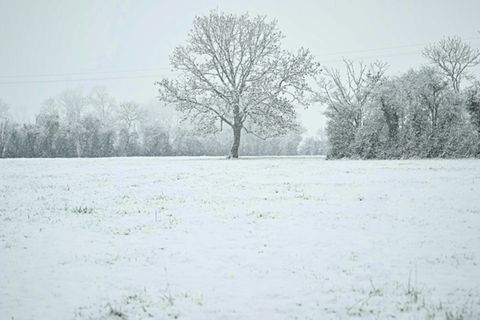 Schneebedeckte Landschaft in der Normandie