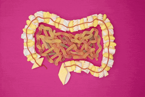 Zucker Süßigkeiten bilden den Darm ab