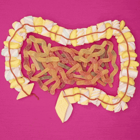 Zucker Süßigkeiten bilden den Darm ab