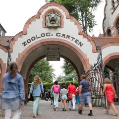 Der Leipziger Zoo verzeichnete im Jahr 2025 einen leichten Besucherrückgang. (Archivbild) Foto: Jan Woitas/dpa-Zentralbild/dpa