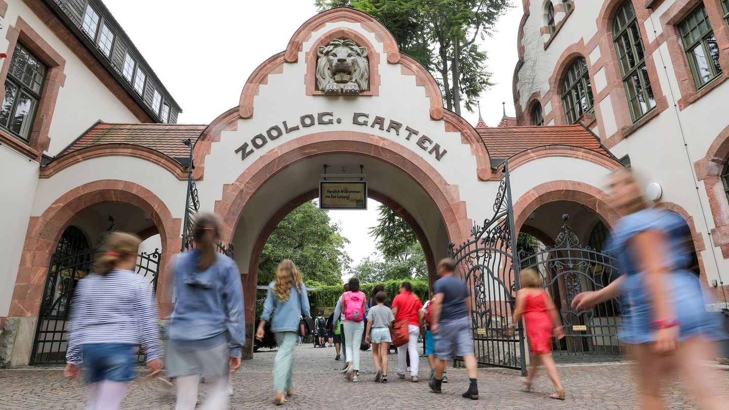 Der Leipziger Zoo verzeichnete im Jahr 2025 einen leichten Besucherrückgang. (Archivbild) Foto: Jan Woitas/dpa-Zentralbild/dpa