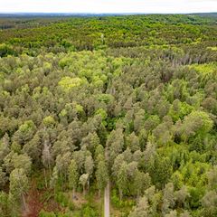 Die Leiche der 21-Jährigen wurde in einem Wald bei Laußnitz gefunden. (Archivbild) Foto: Robert Michael/dpa