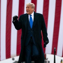 Donald Trump will Grönland kaufen