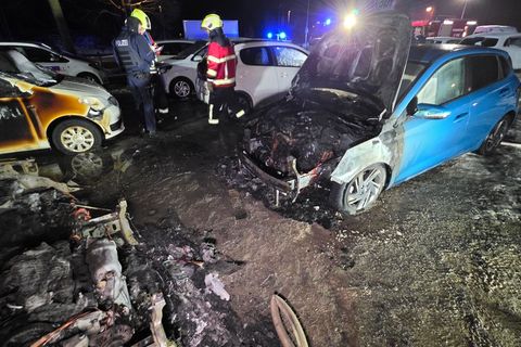 Die Feuerwehr wurde am frühen Morgen alarmiert. Foto: Guido Schulmann/dpa