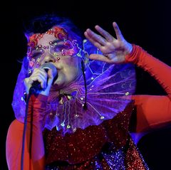 Die isländische Musikerin Björk bei einem Auftritt in Berlin im Jahr 2015