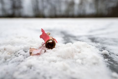 Der kleine Ort im Landkreis Börde steht nach dem tödlichen Vorfall unter Schock. (Symbolbild) Foto: Pia Bayer/dpa